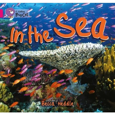 Big Cat 01b Pink: In The Sea