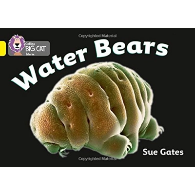 Big Cat 03 Yellow: Water Bears