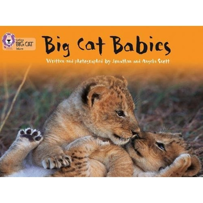 Big Cat 05 Green: Big Cat Babies