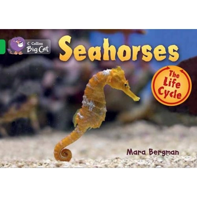 Big Cat 05 Green: Seahorses