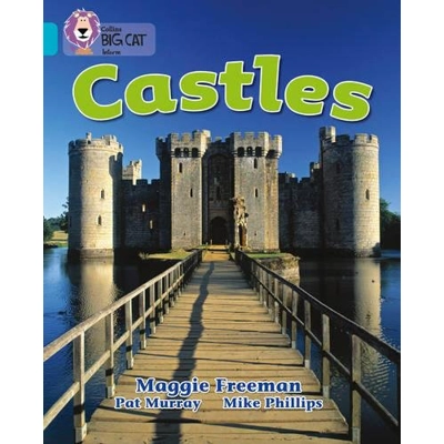 Big Cat 07 Turq: Castles