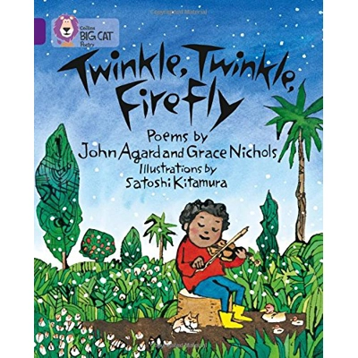 Big Cat 08 Purple: Twinkle, Twinkle, Firefly