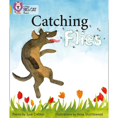 Big Cat 09 Gold: Catching Flies
