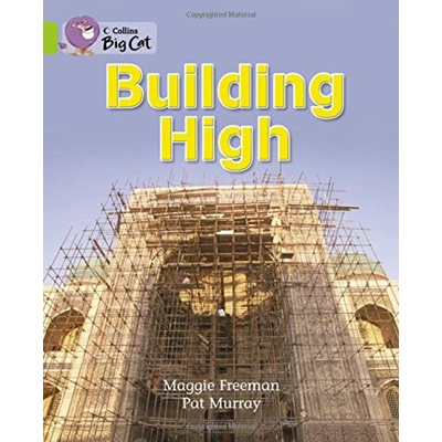 Big Cat 11 Lime: Building High