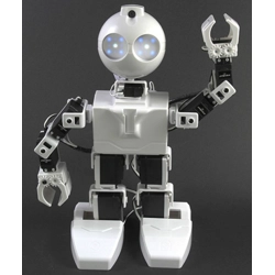 JD Humanoid Robot