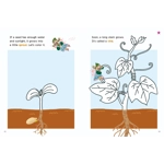 Little Red Hen, The & Magic pumpkin harvest scrapbook