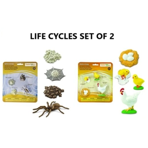 LIFE CYCLES SET OF 2
