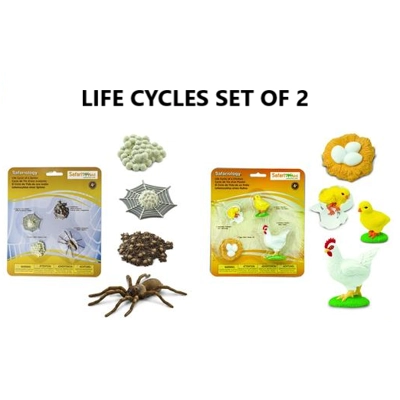 LIFE CYCLES SET OF 2