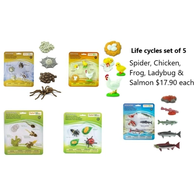 LIFE CYCLES SET OF 5