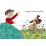 Maverick decodable phonics readers Pink L1 set of 22