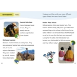 Gold L9 Maverick early readers set of 23 (20F + 3NF)