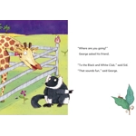 Maverick decodable phonics readers Orange L6 set of 13