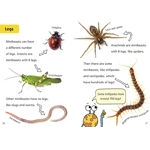 Maverick decodable phonics readers Orange L6 set of 13