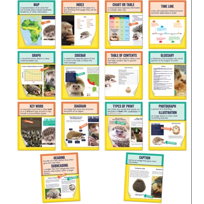 Mini Posters: Nonfiction Text Features Poster Set Grade 1-6