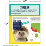Mini Posters: Nonfiction Text Features Poster Set Grade 1-6