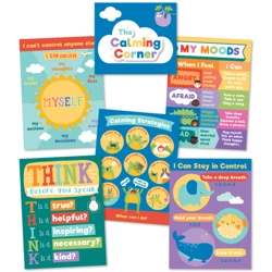 Calming Strategies Chart Set