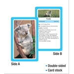 Animals Flash Cards Grade PK-3