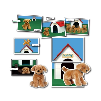Positional/Directional Concepts Learning Cards Grade PK-1