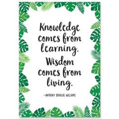 Knowledge comes from learning... Palm Paradise Inspire U Poster