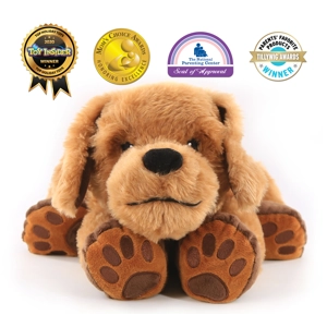 Lucky Theo The Therapy Dog w..