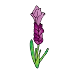 Baby The Comfort Cat Therapy cat weighted lap pet