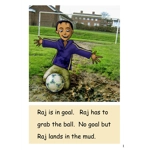 Dandelion Decodable Readers Level 1 'The Mail' 10 books