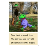 Dandelion Decodable Readers Level 2 books 1-14 [14 books] DR14