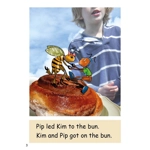 Dandelion Decodable Readers Units 1-10 set 3 'Sit Sam' 10 books (DR3)