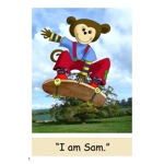 Dandelion Decodable Readers Units 1-10 set 1 'Sam' of 10 books (DR1)