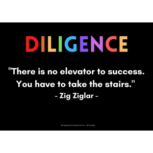 DILIGENCE - ZIG ZIGLAR A3 PO..