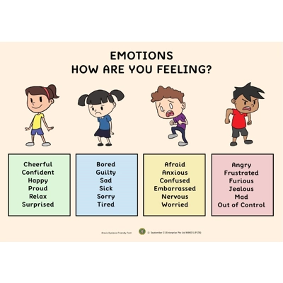 EMOTIONS. HOW ARE YOU FEELING (A3 POSTER)