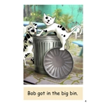 Dandelion Launchers Decodable readers Units 4-7 'Ted' 16 books