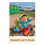 Dandelion Launchers Decodable readers Units 4-7 'Ted' 16 books