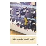 Dandelion Launchers Decodable readers Units 11-15 'The Big Chip' 20 books