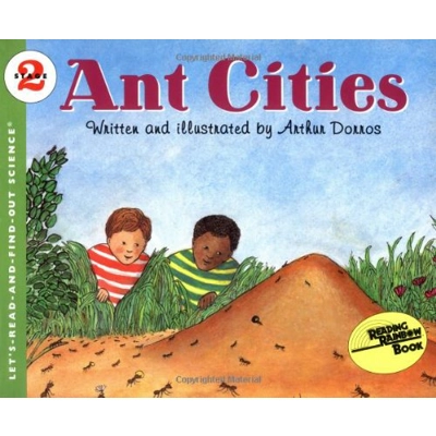 LRAFO L2: Ant Cities