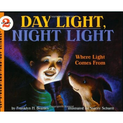 LRAFO L2: Day Light Night Light