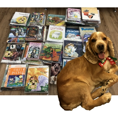 Lucky's Mystery Pack (all proceeds are donated to SPCA)