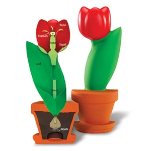 Soft Foam Cross-Section Flow..