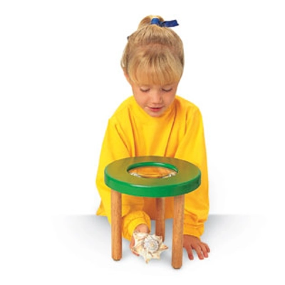 Magnification Science Station