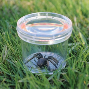 GEOSAFARI® JR BUG VIEWER