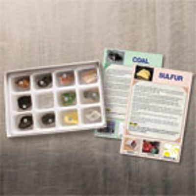 EVERYDAY USES ROCK AND CARD SET