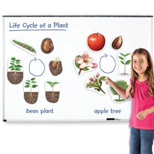 Giant Magnetic Plant Life Cy..