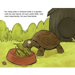 Rosie the lost tortoise [Paperback]
