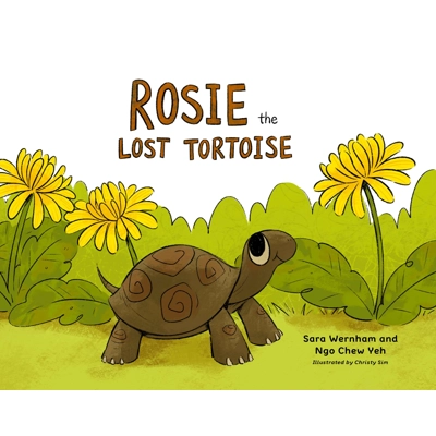 Rosie the lost tortoise [Paperback]