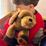 Lucky Theo The Therapy Dog weighted lapdog