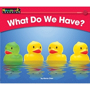 Rising Readers Math: What do..