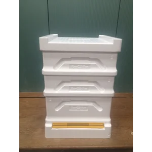 POLY HIVES