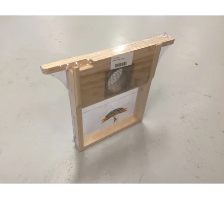 Queen Introduction Frame - Multi Nuc