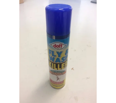 Wasp Killer Spray