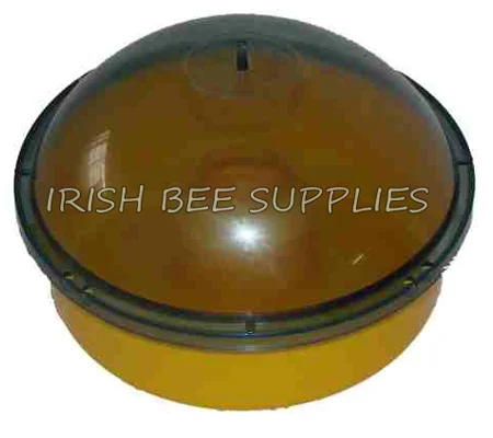 Wasp Trap